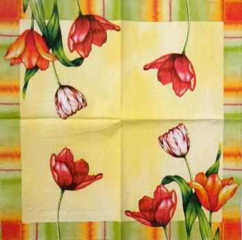 135 Tulpen - 3-lagig